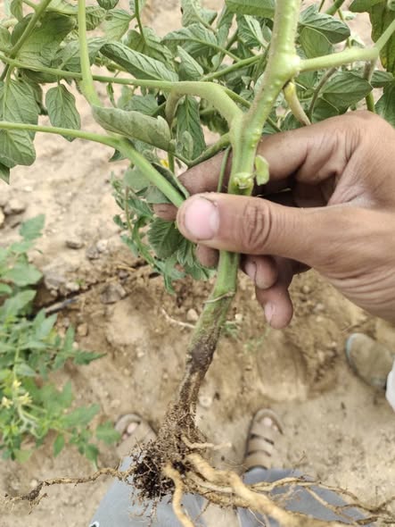 السلام عليكم عندي مشكله 
زي ماواضحه